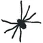 SPARKYS Schwarze Spinne 77 cm / Partydekoration