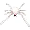 SPARKYS Spinne weiß 60 cm / Partydekoration