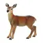 BULLYLAND Spielfigur Reh / Tiere / Kunststoff / ab 3 Jahren