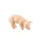 SPARKYS BALULU Figur Schwein / Kunststoff / 5 cm