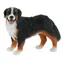 BULLYLAND Figur Berner Sennenhund / Kunststoff / 6,3 cm