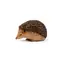 Mojo Animal Planet Igel / ab 3 Jahren