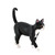 Mojo Animal Planet Katze schwarz-weiß / ab 3 Jahren