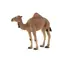 Mojo Animal Planet Camel / ab 3 Jahren