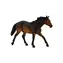 Mojo Animal Planet Bay Sooty Bay / ab 3 Jahren