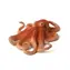 Mojo Animal Planet Octopus / ab 3 Jahren