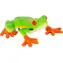 Mojo Animal Planet Rotaugenlaubfrosch / ab 3 Jahren