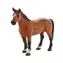 Mojo Animal Planet Trakehner Pferd / ab 3 Jahren