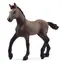 Schleich Horse Club 13954 Peruanisches Paso Fohlen / ab 5 Jahren