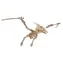 Woodcraft 3D-Holzpuzzle Flugsaurier / 23 Teile / ab 8 Jahren / Schwierigkeitsgrad: einfach 
