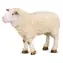 Collecta Sheep / ab 3 Jahren