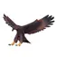 Mojo Animal Planet Eagle / ab 3 Jahren