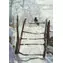 Galison Box Claude Monet Magpie 20 Postkarten