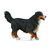 Collecta Berner Sennenhund / ab 3 Jahren