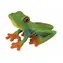 Collecta Rotaugenlaubfrosch / ab 3 Jahren