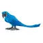 Schleich Wild Life 14859 Hyazinthenara / ab 3 Jahren 