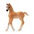 Schleich Horse Club 13984 Araberfohlen / ab 3 Jahren 