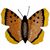 2Kids Toys Holzmagnet großer Schmetterling