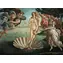 Ravensburger Sandro Botticelli: Die Geburt der Venus / 1000 Teile / ab 12 Jahren