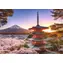 Ravensburger Kirschblüten in Japan / 1000 Stück / ab 14 Jahren