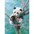 Castorland 070183 Bamboo Dreaming / 70 Teile / ab 5 Jahren