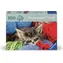 Ravensburger Puzzle: Katze im Ball / 100 Teile / ab 7 Jahren 