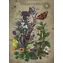 Ravensburger Puzzle: Lebenszyklus eines Schmetterlings / 1000 Teile / ab 14 Jahren