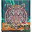 GRAFIX Diamond Painting auf Rahmen Tiger 30x30 cm / ab 8 Jahren