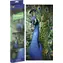 GRAFIX Diamantmalerei Pfau 40x50 cm