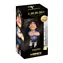 Minix Fußball-Ikone: Maradona - Century