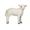 Mojo Lamb Romney Marsh Stehend / ab 3 Jahren