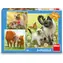 Dino Puzzle Familie / 3x55 Teile / ab 5 Jahren