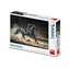 Dino Puzzle Schwarzes Pferd / 1000 Teile / ab 15 Jahren