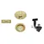 Blanco Accessories - InFino Gold-Ablaufset 