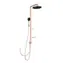 Ideal Standard ALU+ - Duschset ohne Armatur | Durchmesser 26 cm | 2 Düsen | Rosé 