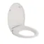 Villeroy & Boch - WC-Sitz, SoftClose, QuickRelease, Alpinweiß 