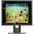 19" DELL Professional P1917S schwarz / LCD / 1280x1024 / IPS / 5:4 / 6ms / 1000:1 / 250cd-m2 / VGA+HDMI+DP / USB / 3YNB 