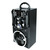 Media-Tech PARTYBOX BT Bluetooth-Lautsprechersystem Karaoke mit Mikrofon / RMS 18W + Subwoofer PMPO 800W / Schwarz