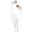JBL T110 weiß / Kopfhörer mit Mikrofon / 3,5-mm-Klinke
