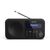 Sharp DR-P420 schwarz / Tragbares Radio / 2 W / DAB+ / UKW / BT / 3,5 mm 
