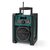 Nedis RDDB3100GN schwarz / Tragbarer Radioempfänger für Baustellen / DAB+ / FM / SW / 15 W / 3,5 mm Klinkenstecker / IPX5 