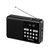 Sandberg Lautsprecher-Radio FM+BT, wiederaufladbar, schwarz / FM-Radio mit Bluetooth-Lautsprecher / 1200 mAh / 5 W 