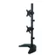 Techly Doppelarm für LED|LCD 13"-27" 2x10kg / Standfuß / für Tisch / vertikal verstellbar / VESA / schwarz