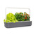 Click And Grow SMART Garden 9 grau / Smarter Blumentopf / automatische Bewässerung / 3x Tomaten / 3x Basilikum / 3x Salat