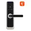 Avatto SDL-A270-S-5572 Digitales Smart Lock WiFi Silber