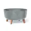 Prosperplast GRACIA LOW 38 cm Betoneffekt / Blumentopf 