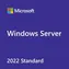 MS Windows Server CAL 2022 CZ 5 Clt Geräte-CAL OEM