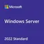 MS Windows Server CAL 2022 Client Access License (CAL) 1 Lizenz