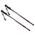 CALTER KOHALA 3-teiliges Paar schwarz-rosa / Trekkingstöcke / 65/110-135cm