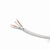 Gembird UTP CAT5E ECONOMY (Kabel) 100m grau
